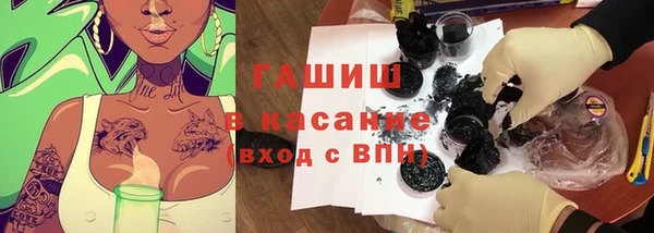 спиды Гусев