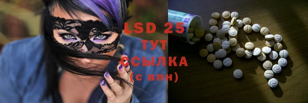 спайс Гусь-Хрустальный