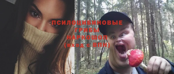 спиды Гусев