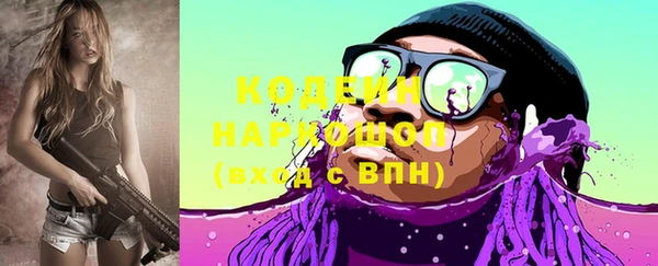 спайс Гусь-Хрустальный