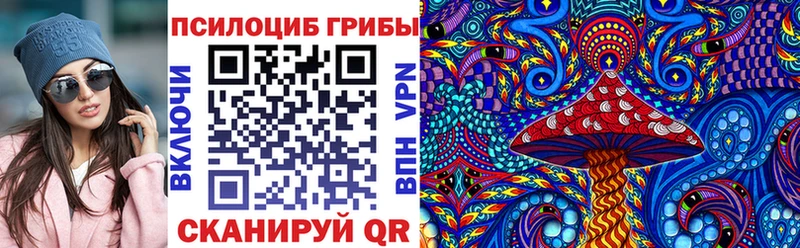 купить закладку  Донецк  Псилоцибиновые грибы Magic Shrooms 
