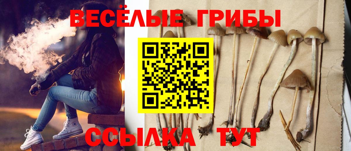 Псилоцибиновые грибы ЛСД  Галлюциногенные грибы Cubensis  Донецк  Вход с VPN 