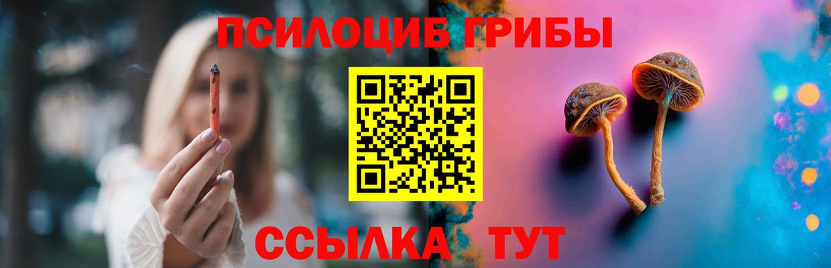 Псилоцибиновые грибы Psilocybe Донецк