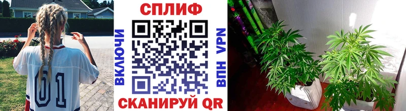 нарко площадка какой сайт  Донецк  Бошки марихуана Bruce Banner 